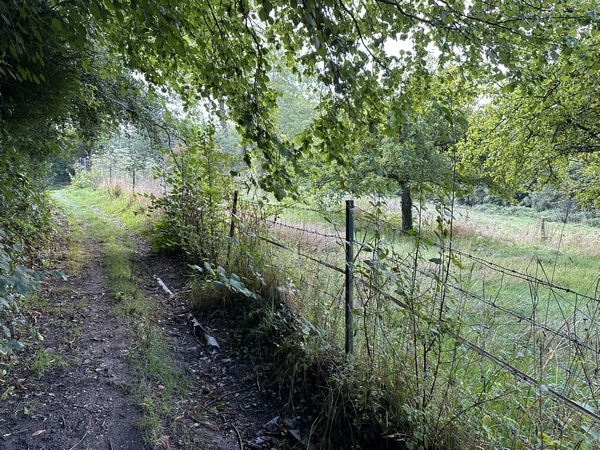 Nous arrivons au Mont Landrin.