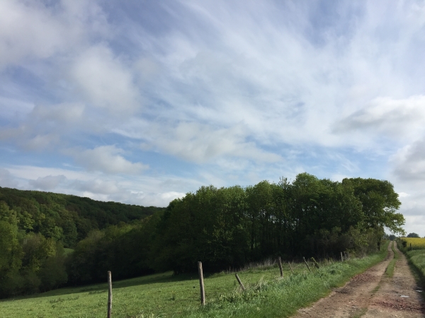 Chemin de la Croix aux Prussiens, au-dessus du Bois de Mézières.