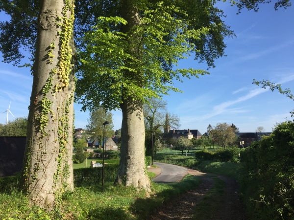 Entrée dans Brachy.
