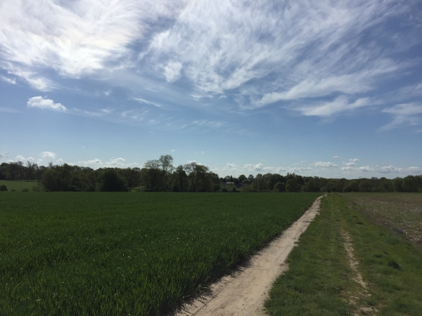 Gueures, plaine du Thil.