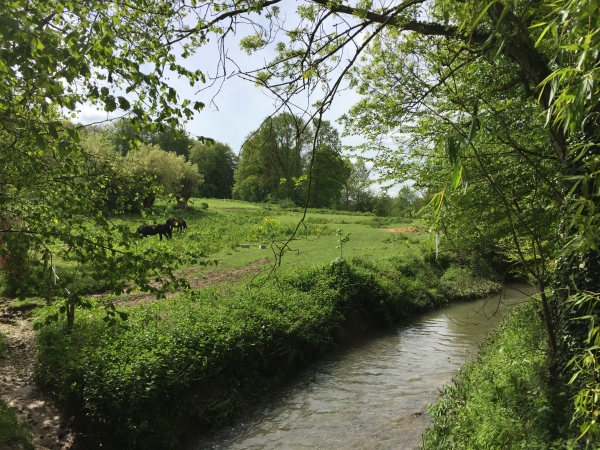 La Vienne au hameau de Flamanville.