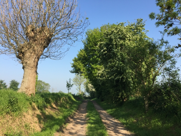 Nous prenons le chemin du Port, en direction du Canal de Carentan à la Mer.