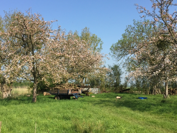 Brévands, rue des Saints.