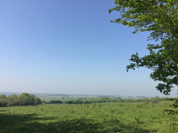 Brévands, rue JB Jaillet, vue sur les marais.