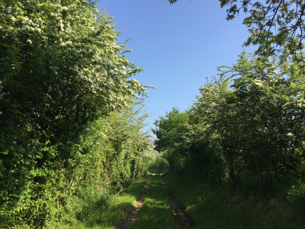 Retour au point de départ.