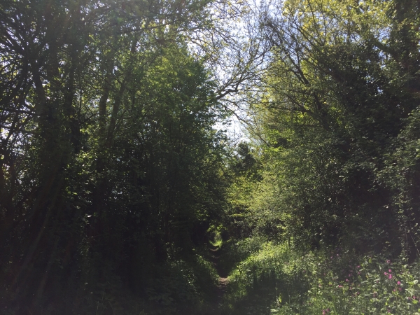 Nous traversons le Bourg de Lestre et descendons vers le gué du Plat Hamel.