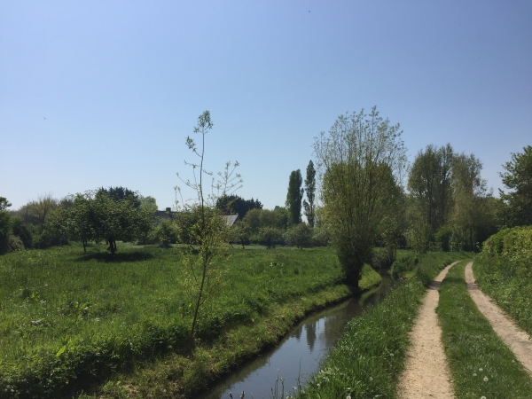 Nous suivons, puis traversons le Ruisseau de By en direction de St-Germain-de-Varreville.
