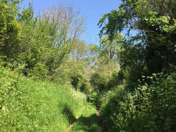 Chemin le long du Haras de Gerville.