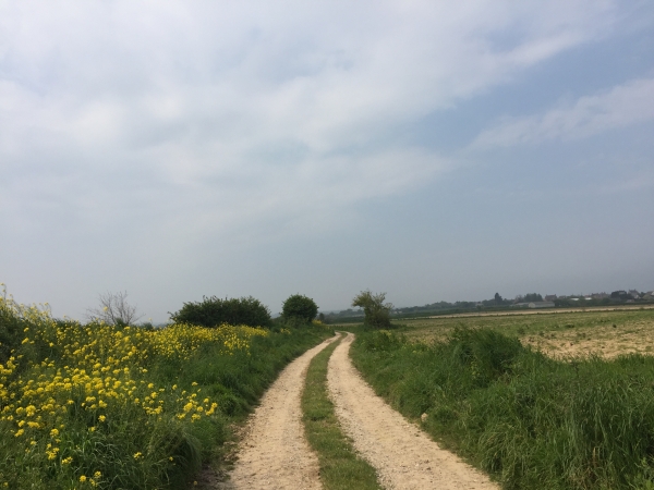Chemin de la Croix de Rauville, nous contournons l'ancienne gare pour rejoindre la côte par le chemin des Vastines.