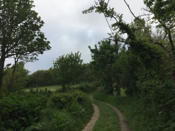 Nous descendons le chemin en direction de la Viesville.