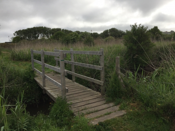 Nous traversons le Petit Douet dans les dunes d'Héauville.
