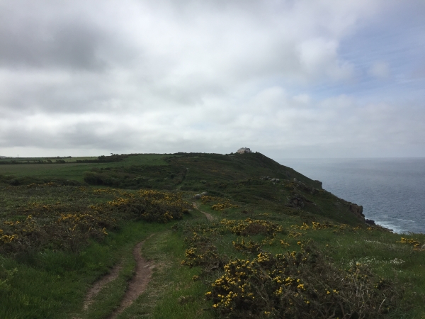 Sentier du littoral, Cap de Flamanville.