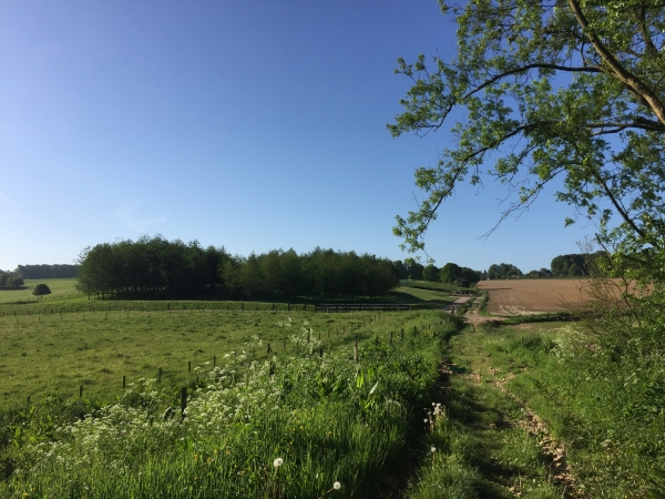 Vautuit, chemin de la Couture.