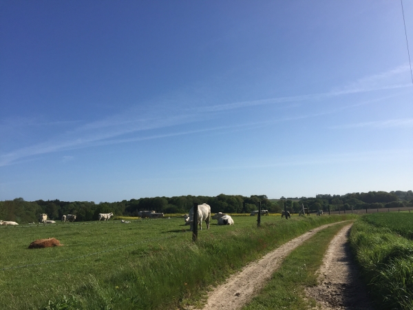 Vautuit, chemin de Fresnay à Colmont.