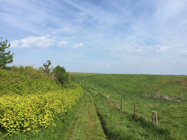 Yport, GR 21 sur les falaises.