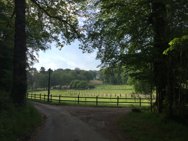 Vattetot-sur-Mer, chemin de la Vallée.