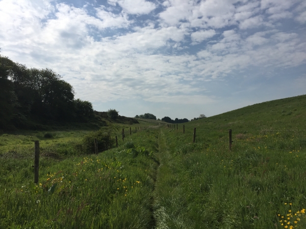 Yport, chemin de la Haute-Folie.