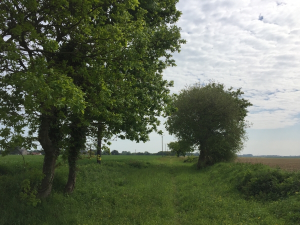 Froberville, ancienne voie ferrée de la ligne des Ifs à Etretat.