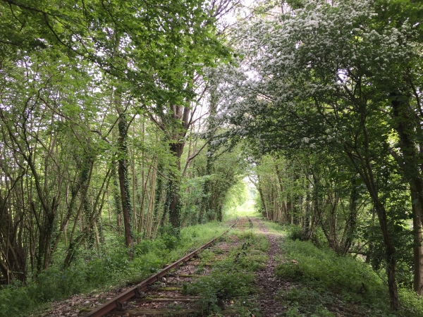 Froberville, ancienne voie ferrée de la ligne des Ifs à Etretat.