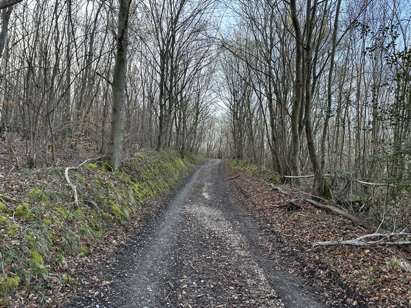 Nous montons en direction du plateau de la Cramponnière.