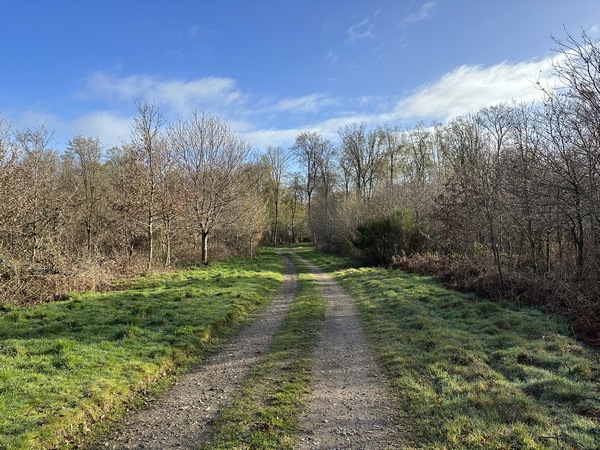 La forêt domaniale de Bord-Louviers est agréable en toute saison, d'autant plus quand elle manifeste les premiers signes du printemps.