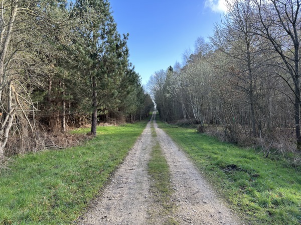 Sur le plateau, nous suivons le chemin des Deux Mères (GR222).