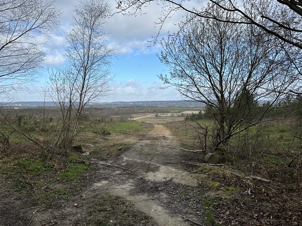 Nous sortons de la forêt domaniale et continuons tout droit en direction de la vallée.
