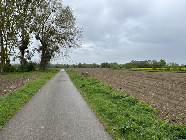 Comme beaucoup de voies vertes, la Voie Verte Seine Eure est plutôt rectiligne (ancienne voie ferrée oblige), et elle est bitumée.