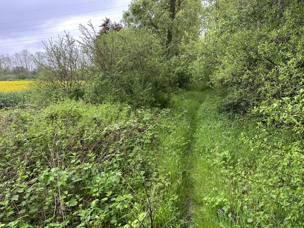 Un chemin parallèle nous permet d'éviter en grande partie la rue du Gros Saule (D77E), très fréquentée.