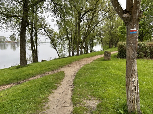 Dans la base de loisirs, nous suivons les balises d'une variante du GR2 le long de l'étang des Deux Amants.