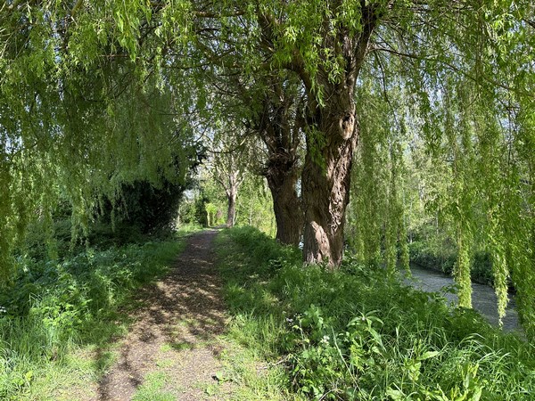 Malgré le temps maussade (et quelques averses), ce circuit est toujours aussi délicieux.