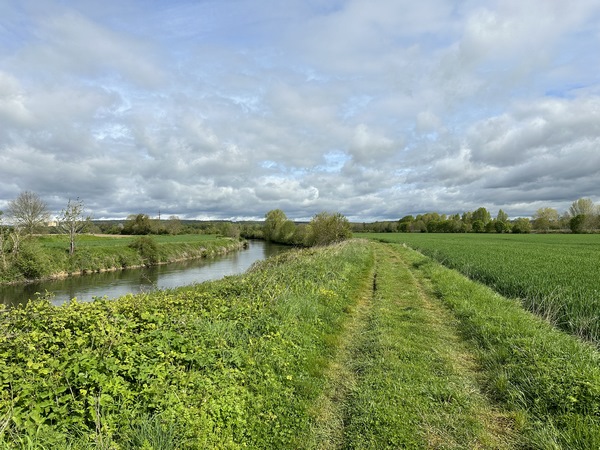 Nous évitons la Voie Verte, et suivons ce chemin agricole le long de l'Eure.