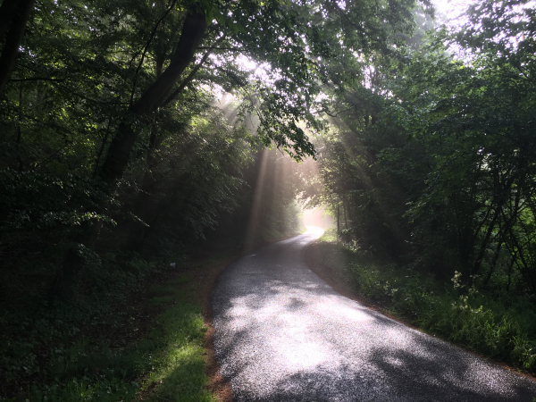 Route de la Louveterie. Il y avait autrefois des louvetiers dans toutes les grandes forêts. Cet officier commandait l'équipage chargé de la chasse aux loups.