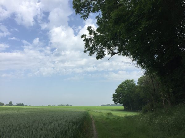 Chemin des Boquets à Infreville.