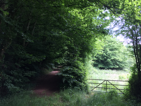 Dernier chemin, en montée vers Landepéreuse.
