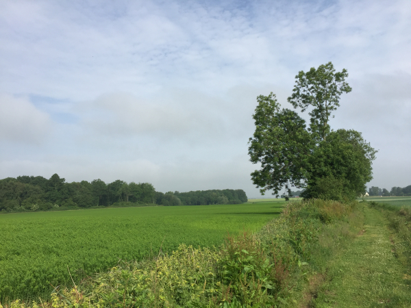 Le GR211b dans la plaine du Moulin de Galleville.