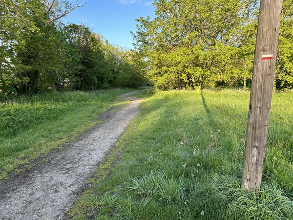 Nous&nbsp; n'entrons pas dans le parc, et suivons le GR2 qui va nous guider vers la forêt de La Londe-Rouvray.