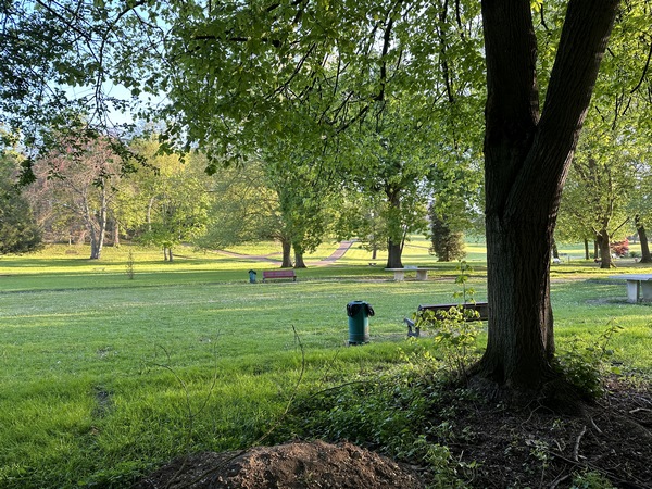 Une ouverture dans la haie permet de jeter un coup d'œil sur le parc municipal.