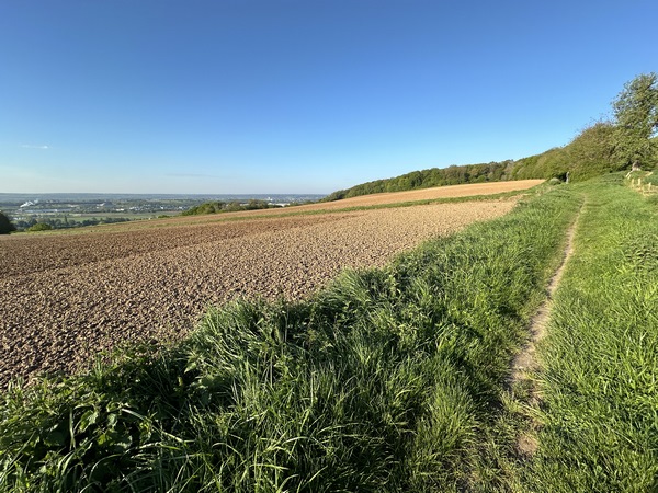 Nous continuons sur le chemin en direction de la forêt domaniale.
