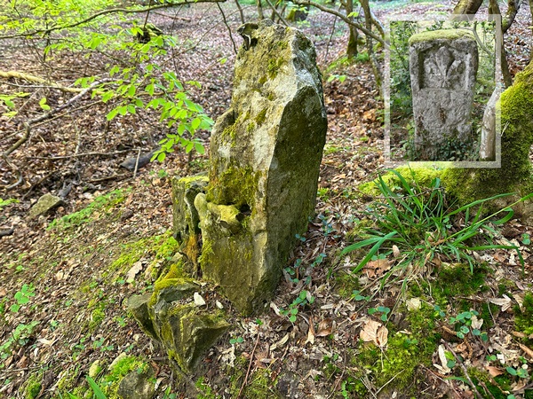 Au bord du fossé, on peut découvrir ce vestige d'une borne royale. Ces bornes gravées de la fleur de lys étaient nombreuses le long des fossés. La plupart d'entre elles ont été enlevées, ou cassées à la Révolution.