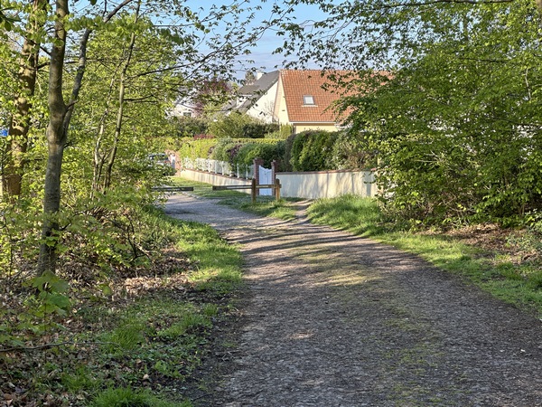 Nous sortons momentanément de la forêt domaniale au Petit Essart.