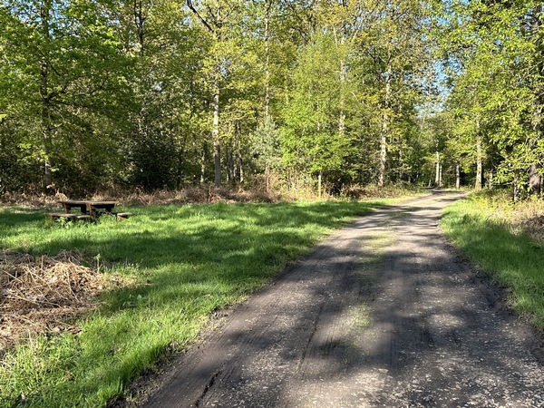 Table de pique-nique à la limite entre la forêt domaniale et la forêt départementale du Bois des Pères.