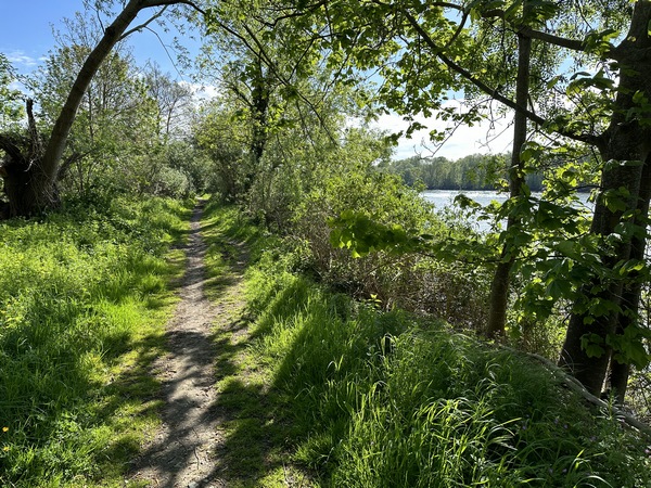 Nous rejoignons le bord de Seine au niveau des îles Durand, Sainte-Catherine, Adam.