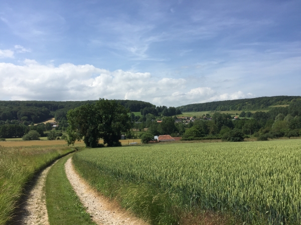 Descente dans la vallée de l'Yères en direction de Cuverville-sur-Yères.