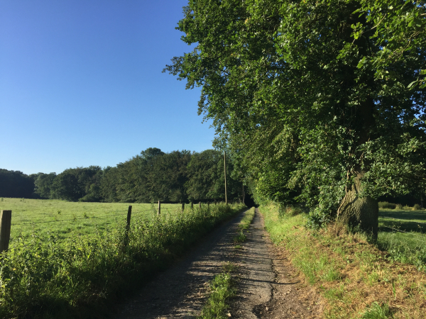 Nous sortons d'Etalleville en direction du Fond de la Taille.