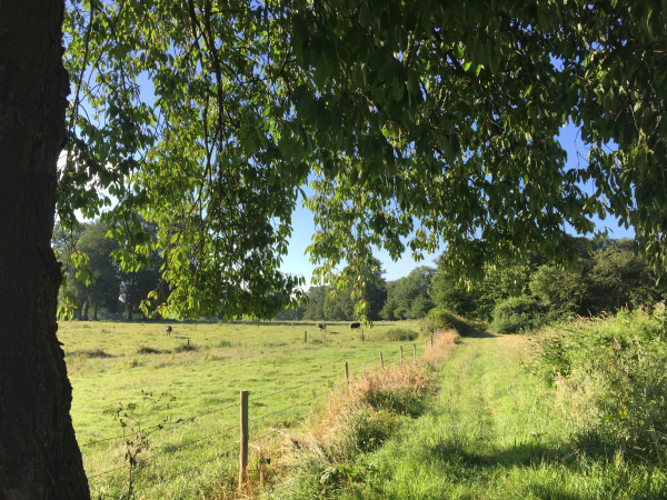 Les chemins sont très agréables, nous longeons le bois de Berville.