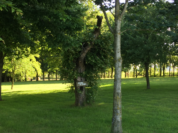 Le panneau indique "réserve de lutins"...