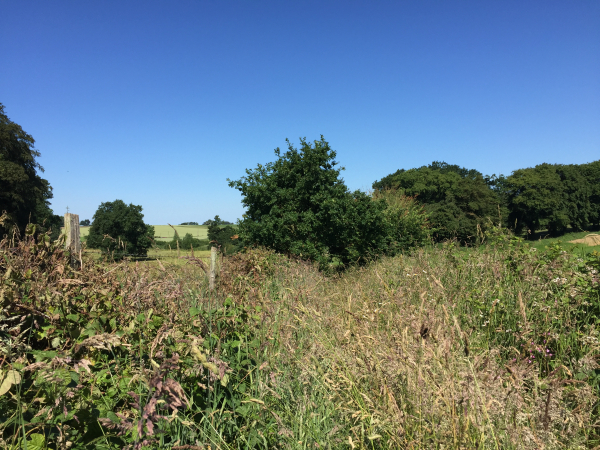 En approchant de Prétot-Vicquemare, le chemin dans la Plaine du Mesnil devient très encombré.