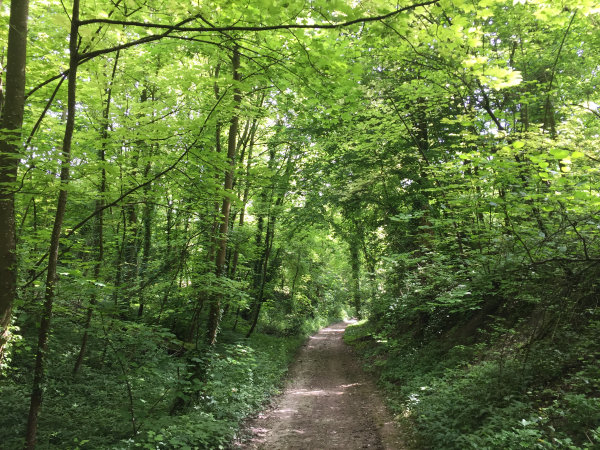 Nous descendons en direction de la Ferme de Bellengault.