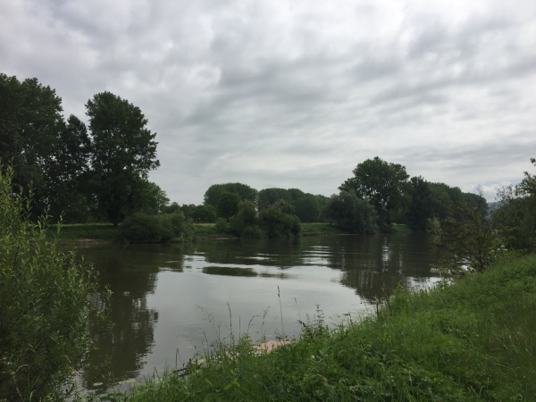 La Seine et l'île de Lormais.